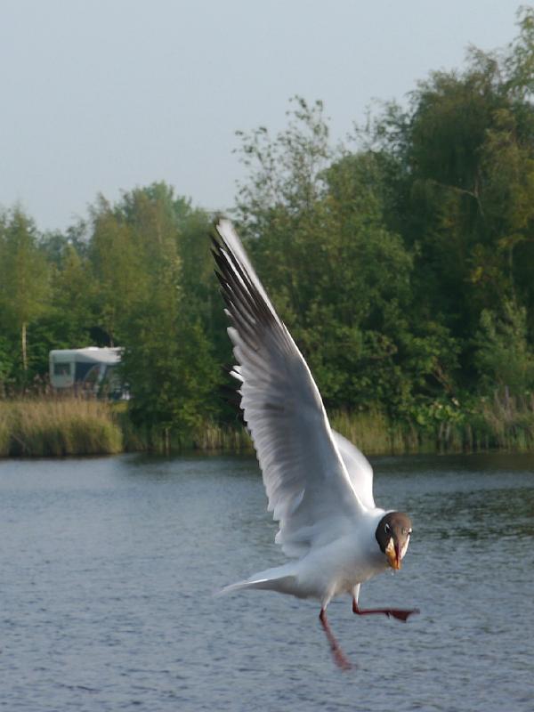2016.05 Fryslan Bootstour - 126.jpg